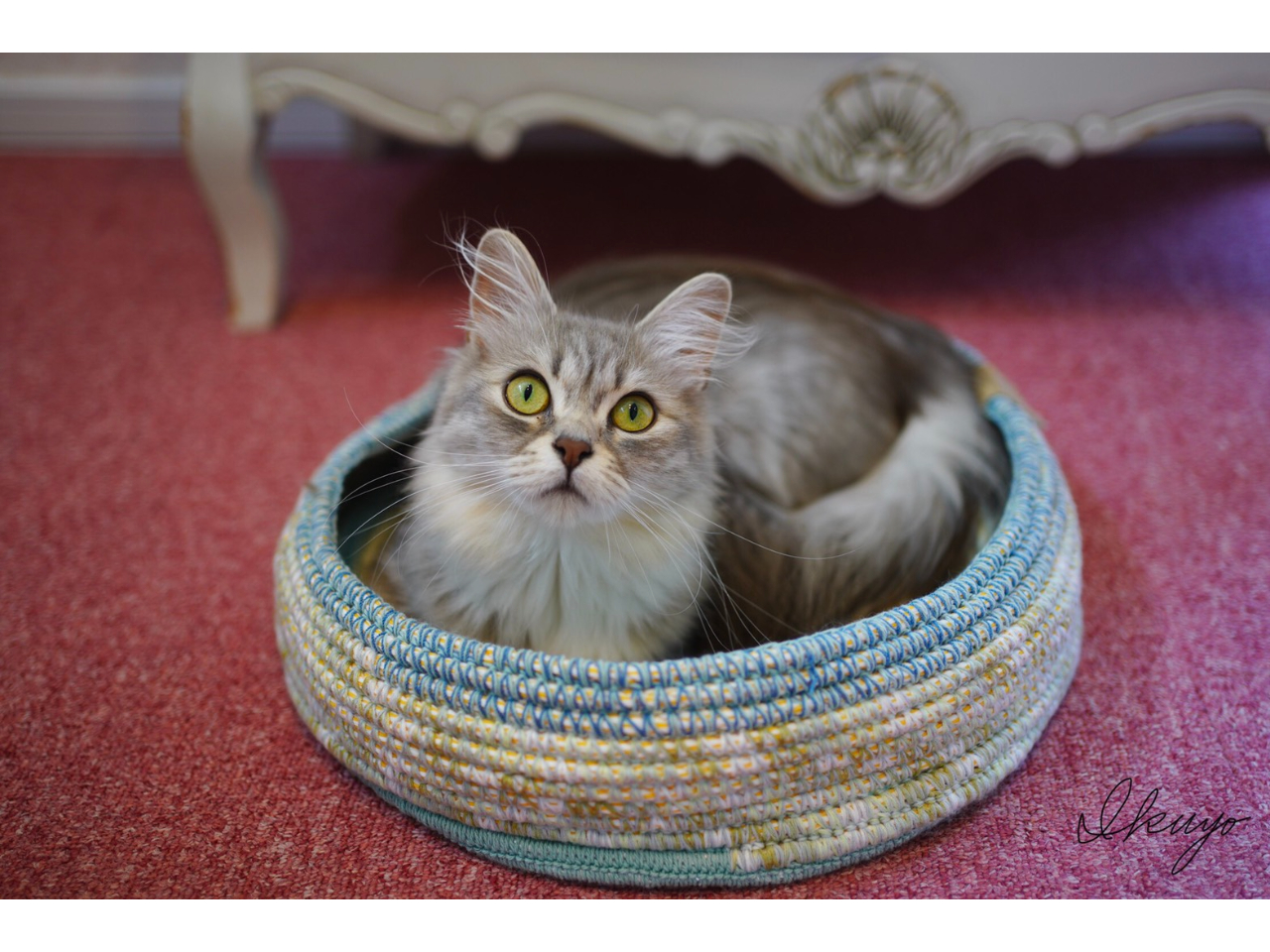 �L�X�^�b�t�̃W�F���[�g�����