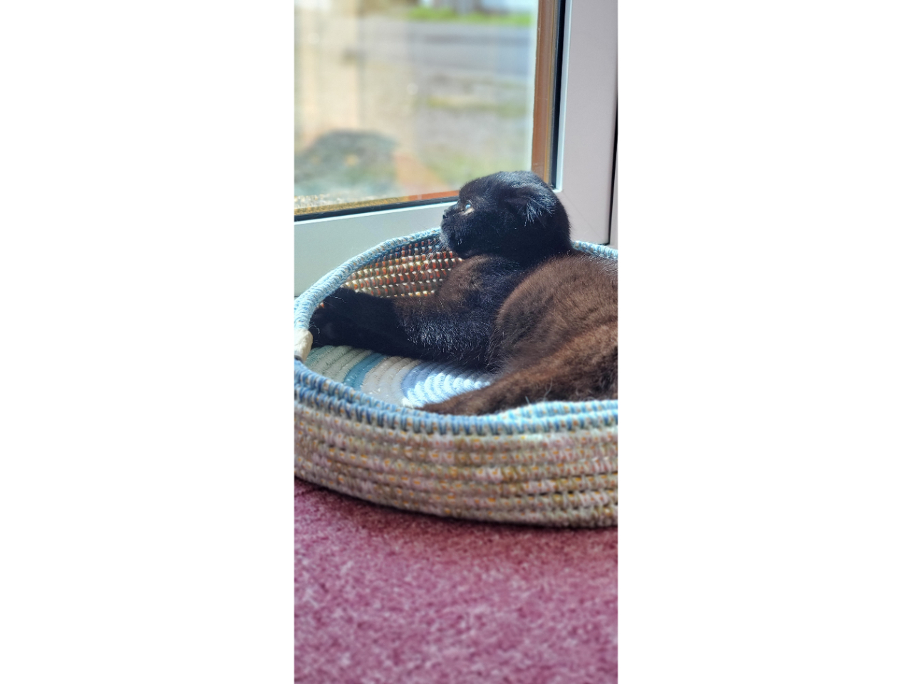 �L�X�^�b�t�̂��͂������