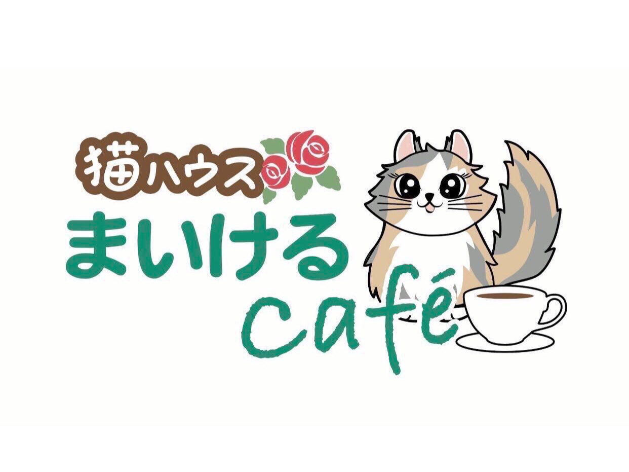 【☆2時間☆特典付き♪じゃらん限定プラン!】明るく開放的な猫カフェで癒しのひと時...