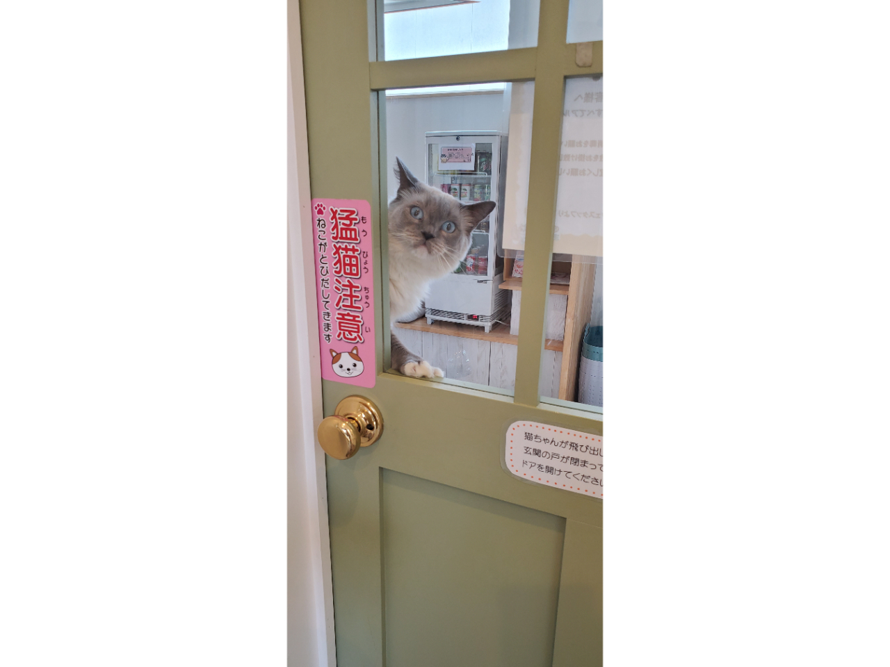 �L�X�^�b�t�̂����������