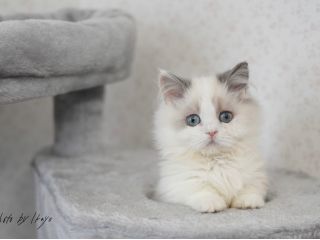 清潔感にこだわった広々と明るい店内でお待ちしています♪