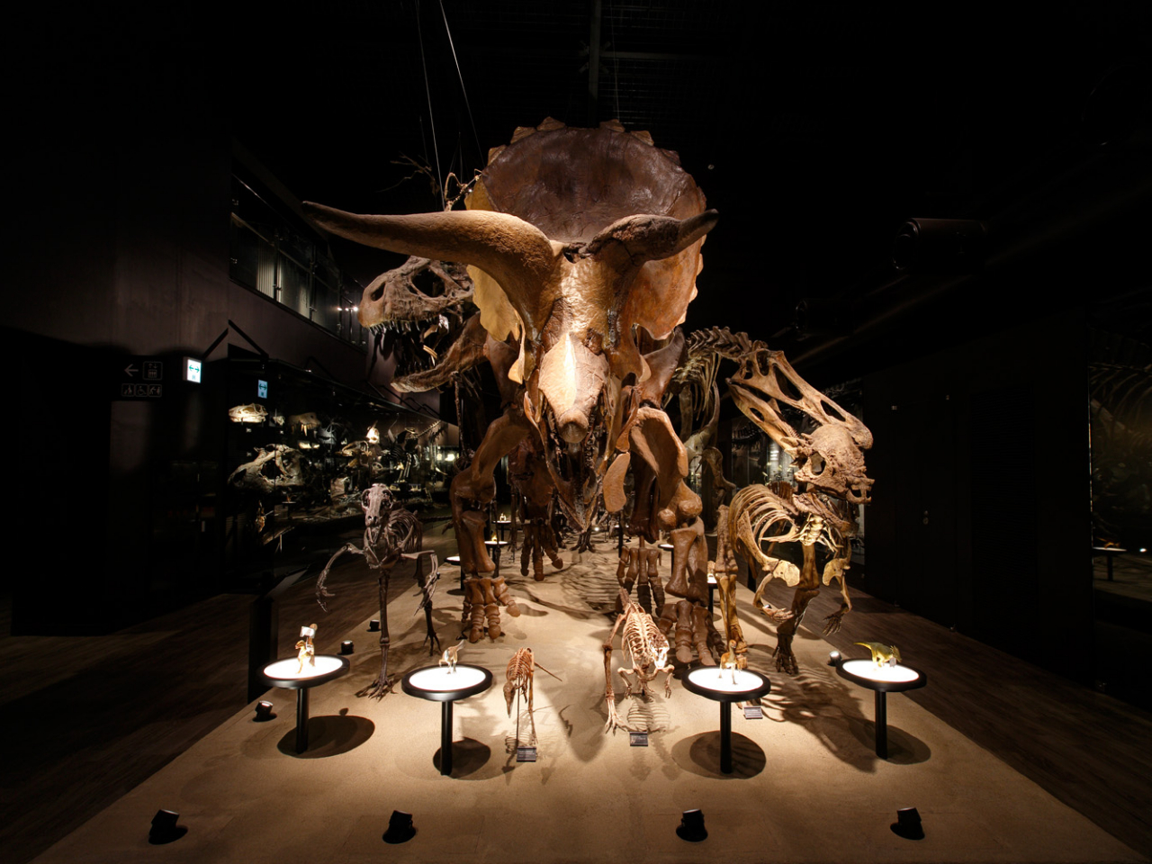 �����͖��_�I�����i��_��s�i