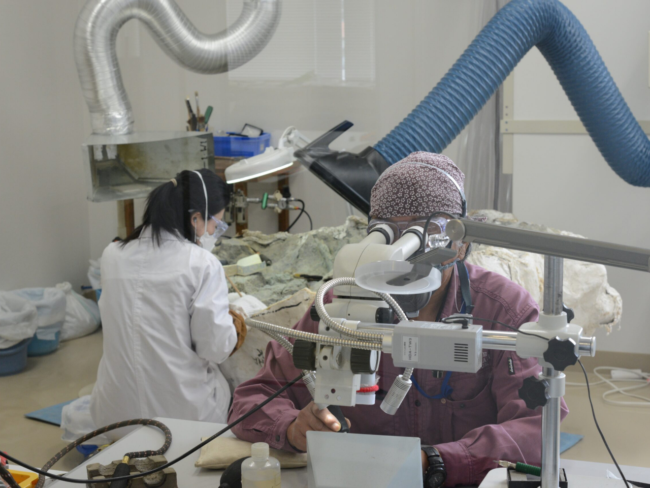 �u�I�[�v�����{�v�o�b�N���[�h���w�����ł��܂��􉻐΃N���[�j���O���̍�Ǝ������łȂ��A������������ɂ܂ŏ����̗l�q�����ׂČ��J���Ă��܂���