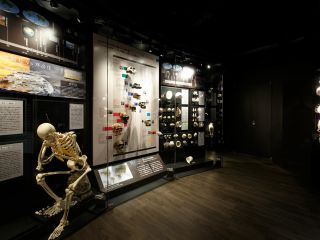 常設展 観覧チケット お子様から大人まで大興奮 お一人様 当日予約ok ファミリー グループ 御船町恐竜博物館 じゃらん遊び体験 常設展 観覧チケット お子様から大人まで大興奮 お一人様 当日予約ok ファミリー グループ 御船町恐竜博物館 じゃらん遊び体験