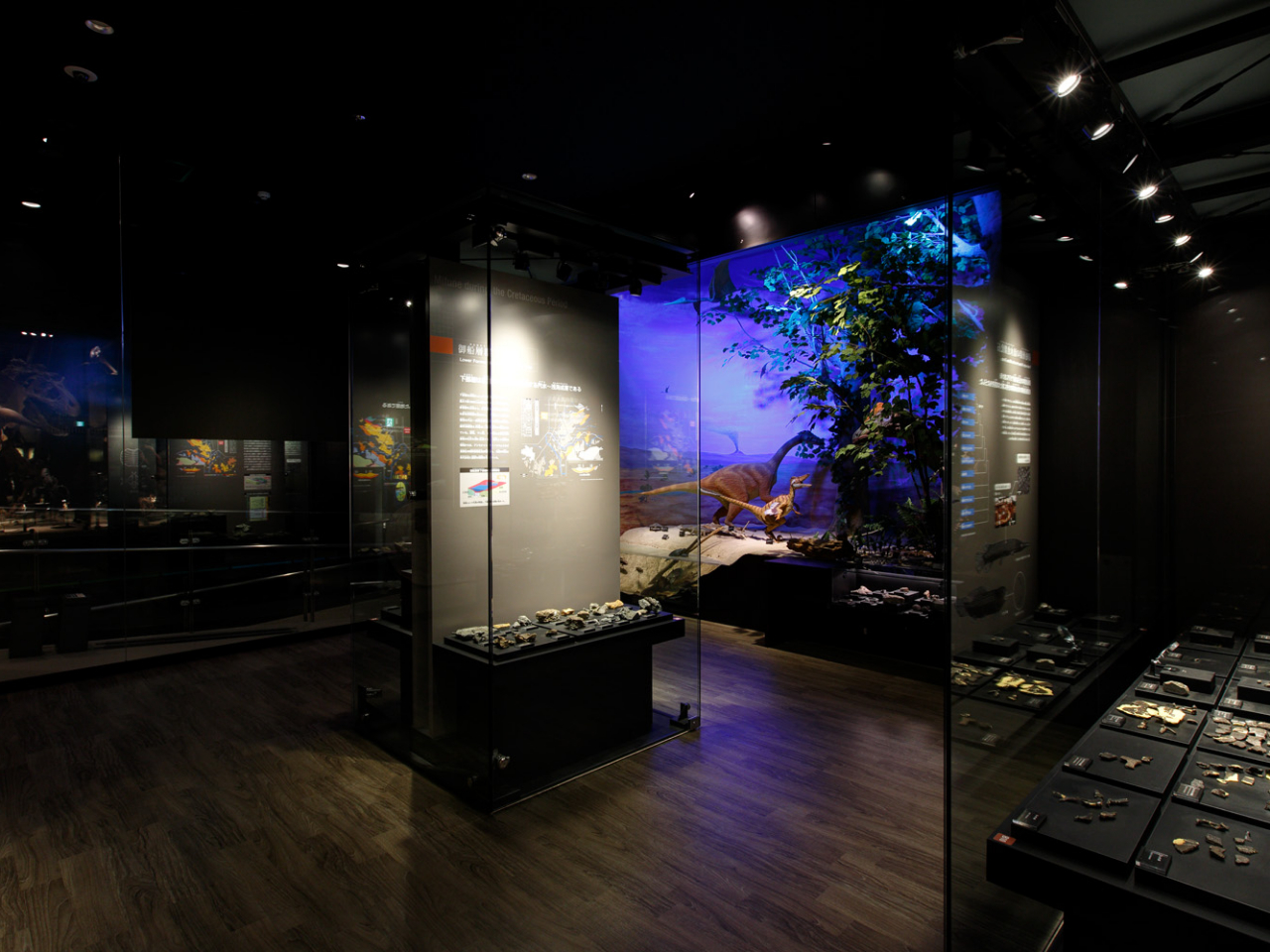 ����D�w�Q�Ƃ����n�w�̓����≻�΂����Љ�