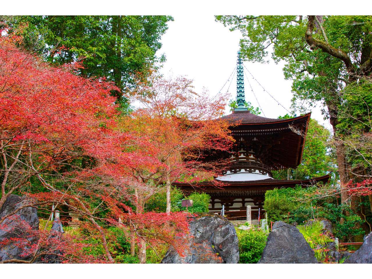 �ΎR���@���󓃁i����j