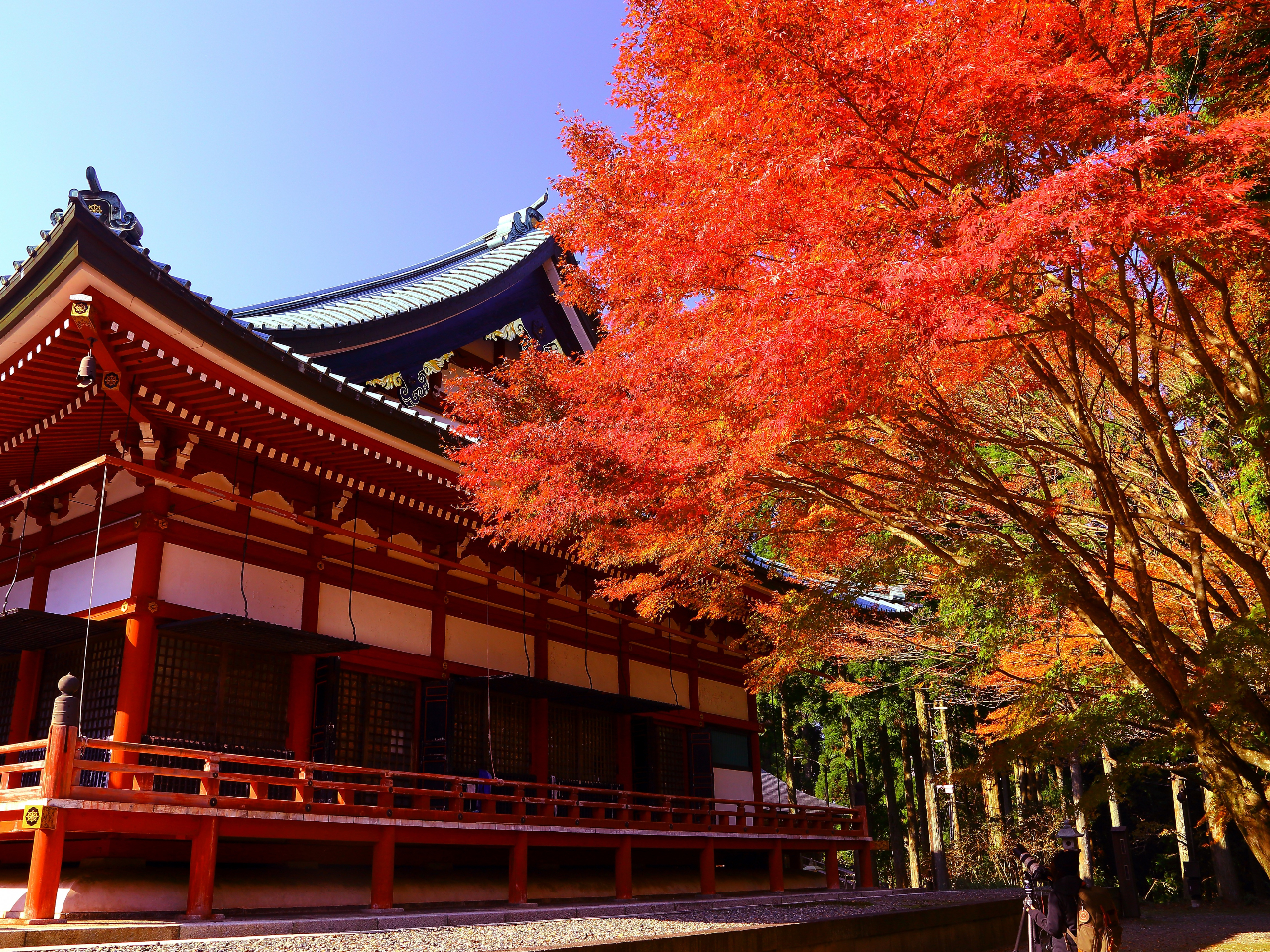 ”ä‰bŽR‰„—