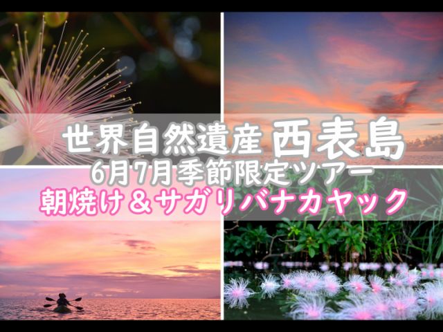 6月日 7月31日の季節限定 早朝サガリバナカヤックコース 2歳からご参加ok 体力必要なし 初心者でも簡単のんびりカヤックコース Summerちゃまー 完全貸切制ツアー 西表島 じゃらん遊び体験 6月日 7月31日の季節限定 早朝サガリバナカヤックコース 2歳からご参加ok 体力必要なし 初心者でも簡単のんびりカヤックコース Summerちゃまー 完全貸切制ツアー 西表島 じゃらん遊び体験