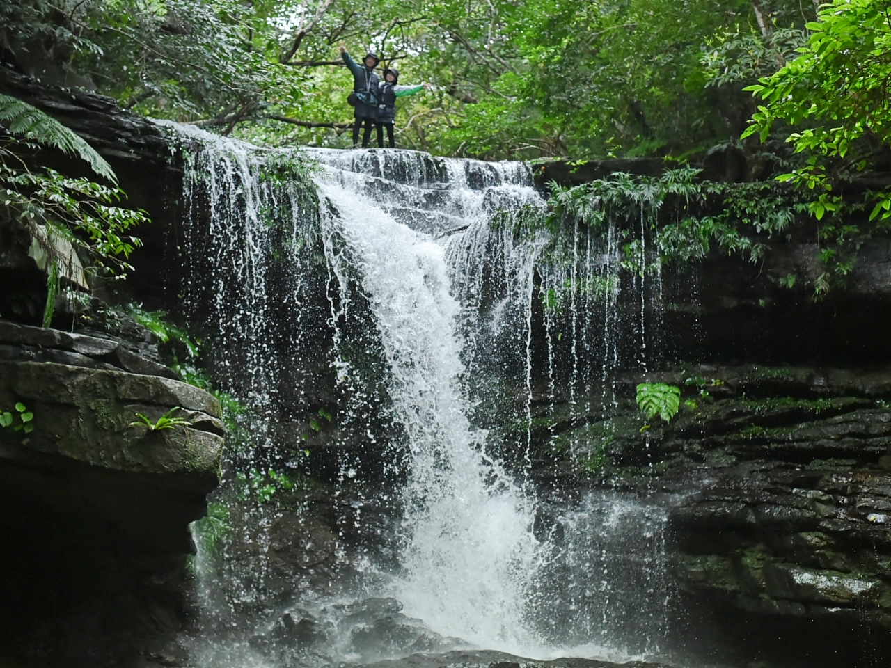 lCX|bghN[̑hŁAsȃXP[\܂I