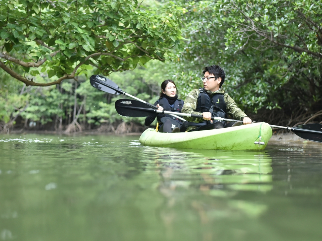 Ny߂鐼\̃}O[uJbNIꏏɖ`̗֏o܂傤I