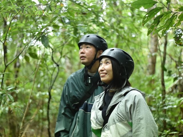 新婚旅行の思い出に!大自然のジャングル、カヤック+トレッキングツアー!