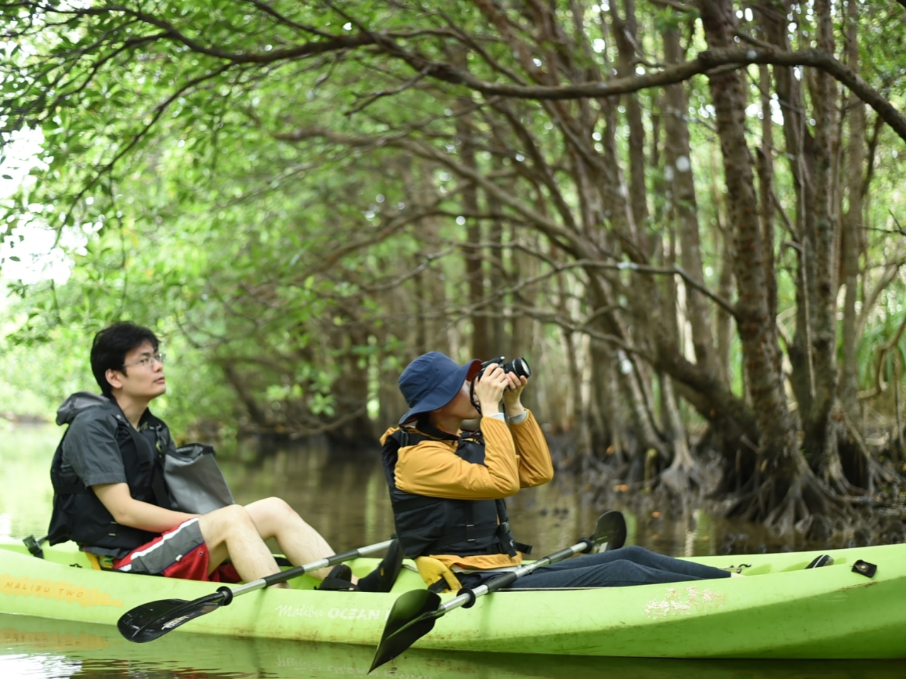 \̃}O[uJbNIlłƃW̉n֌܂I