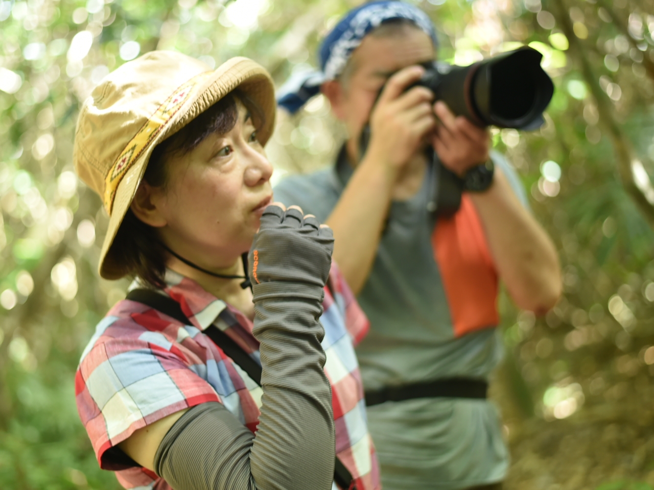 11g̑ݐ؃R[ẌׁÃQXgɋCgƂȂVׂ܂B`EBetłIs̎voɁ