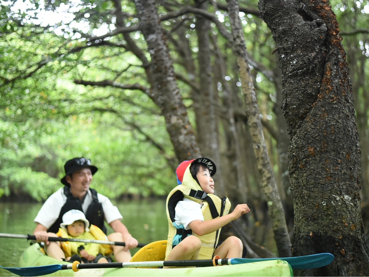 2΂ꏏɊy߂11g̑ݐؔcA[łI\̃}O[uJbNN[̑Eώ@y߂܂