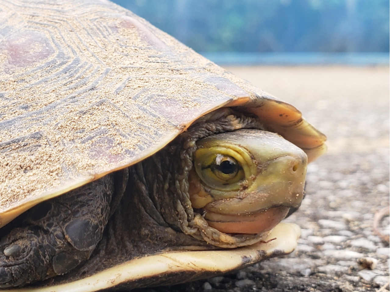 Z}nRKI\ɏZދMdȓVRLOɂ邩I