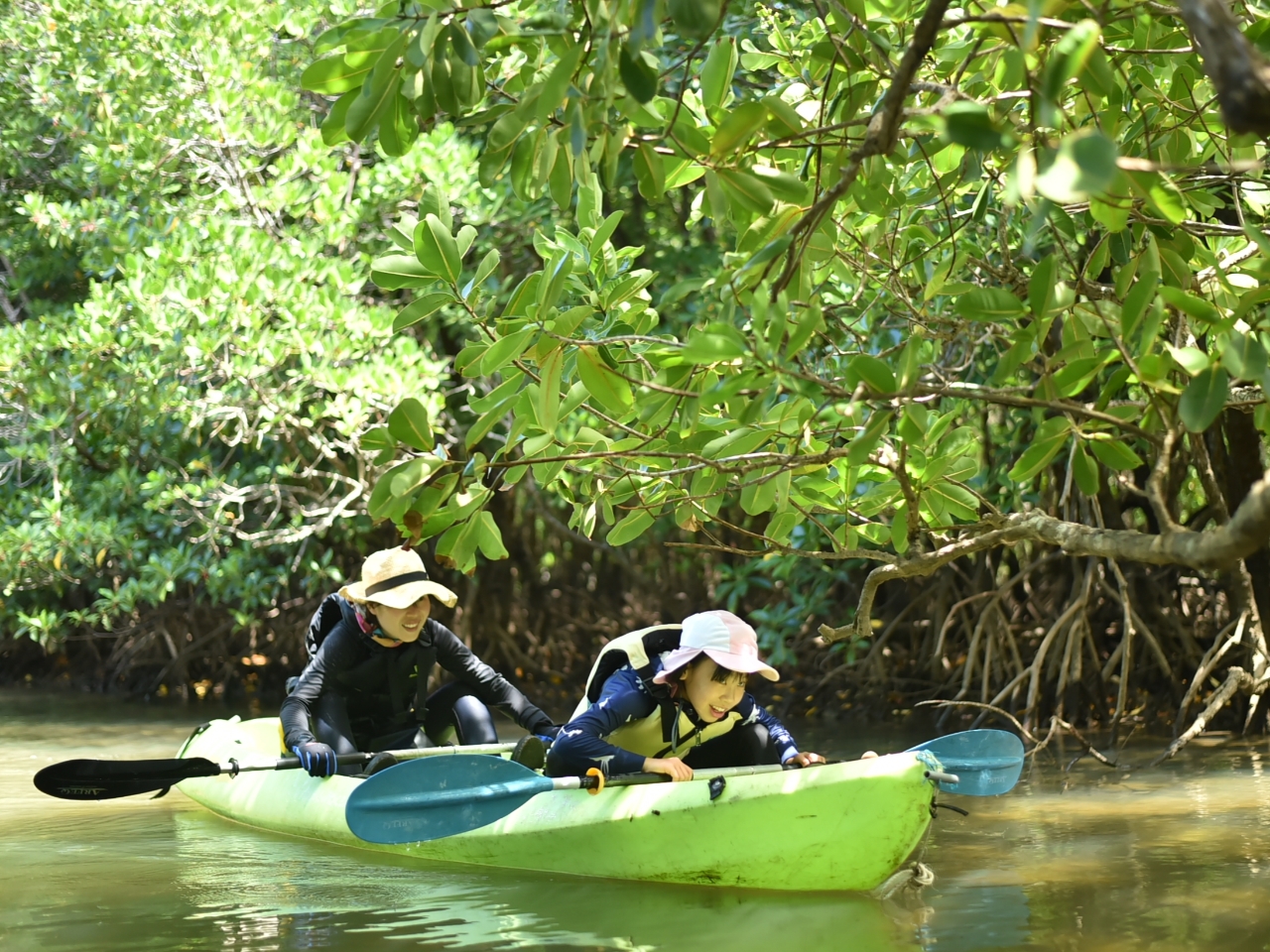 EYɓo^ꂽ\Ń}O[uI߂Ă̕łȒPȃR[XŁAƑ݂ȂŃJbNy݂܂B