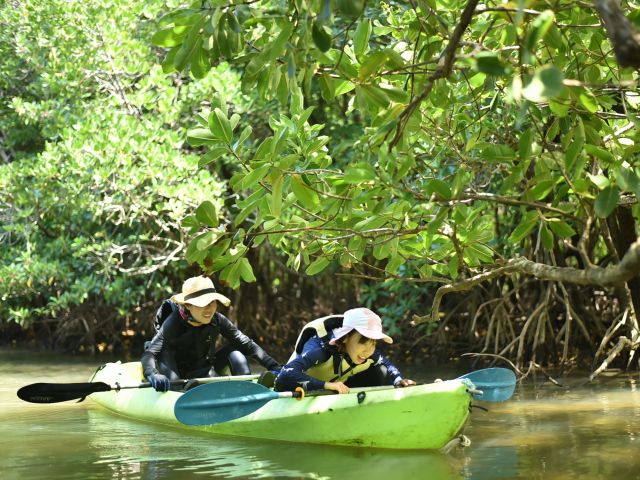 世界遺産に登録された西表島でマングローブ!初めての方でも簡単なコースで、ご家族みんなでカヤックもお楽しみいただけます。