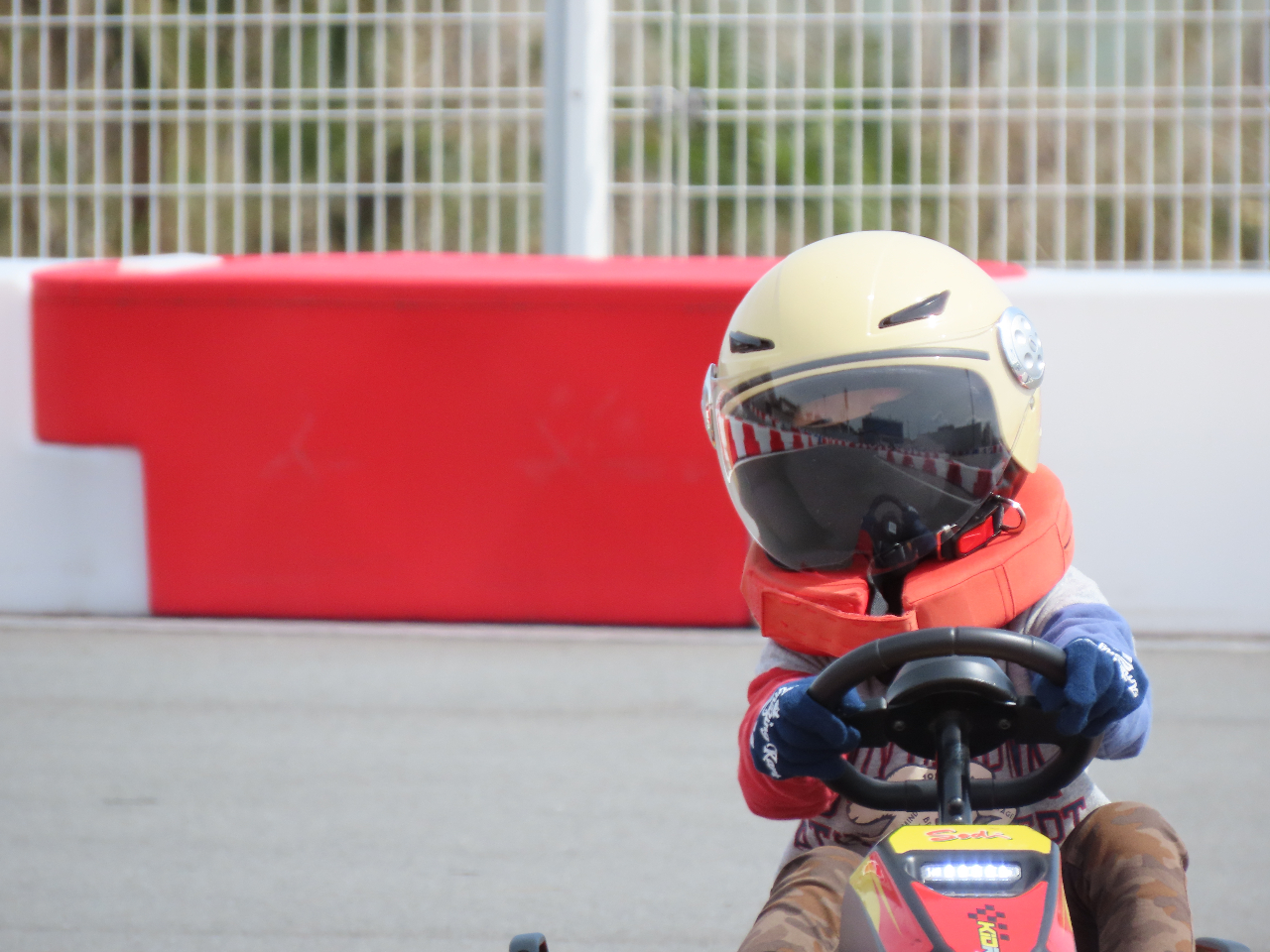 qlƑlꏏɊy߂郌[X̌I