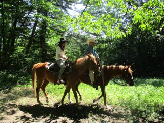 ウエスタンのカウボーイ文化を楽しみ・語り・共有し尽くしましょう!