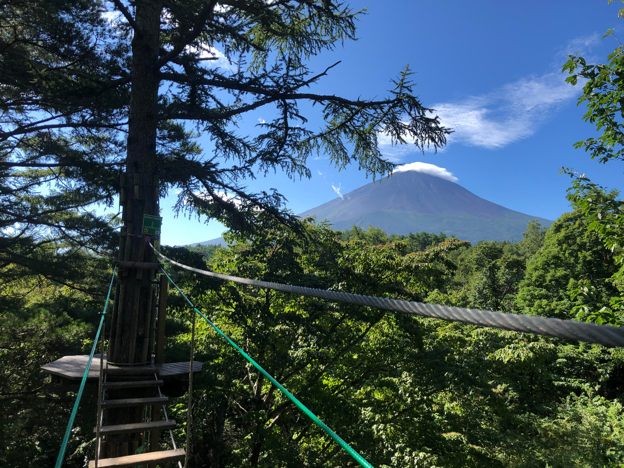 アドベンチャーコース ダイナミックでスリリングな樹上体験を 地上14m 最もボリュームのあるコースです フォレストアドベンチャー フジ じゃらん遊び体験 アドベンチャーコース ダイナミックでスリリングな樹上体験を 地上14m 最もボリュームのあるコースです フォレストアドベンチャー フジ じゃらん遊び体験