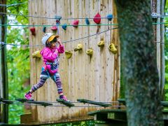 フォレストアドベンチャー フジ 予約 アクセス 割引クーポン じゃらんnet フォレストアドベンチャー フジ 予約 アクセス 割引クーポン じゃらんnet