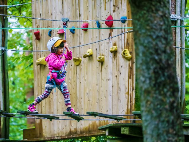 キャノピーコース 家族みんなで楽しめるコース お孫さんとも楽しめちゃいます フォレストアドベンチャー フジ じゃらん遊び体験 キャノピーコース 家族みんなで楽しめるコース お孫さんとも楽しめちゃいます フォレストアドベンチャー フジ じゃらん遊び体験