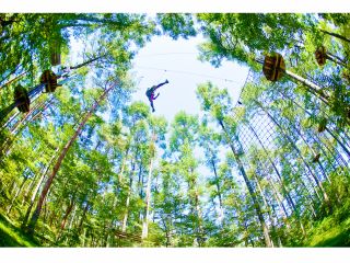 さあ、樹上の大冒険へ!