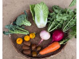 12月の収穫体験はこんな感じ。いよいよ冬野菜がでてきました。天候により変更もありますのでご了承ください。