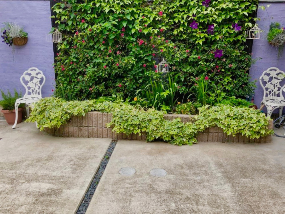 kyotoEchirin ̉fK[fŃXibvtHg