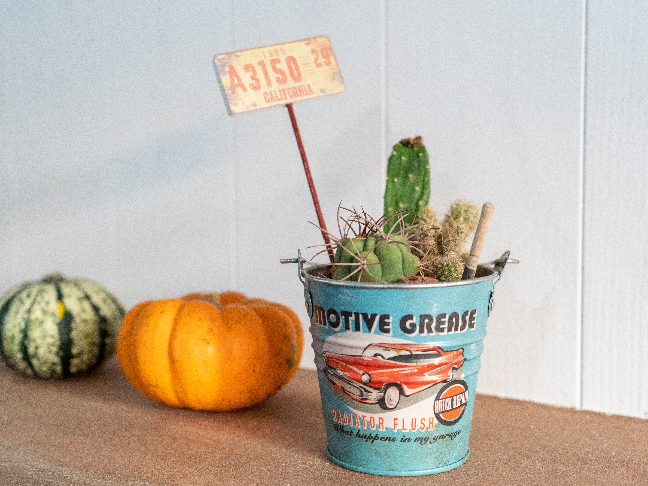 100種類からmyサボテンを選び、自分だけの鉢植えを作ろう！！（2鉢体験