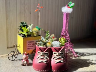 2鉢セット内容です。鉢のデザインは自由に選べます。温室をガイド付きでご案内します。体験後に、ハーブティでゆったりとしたひとときを。