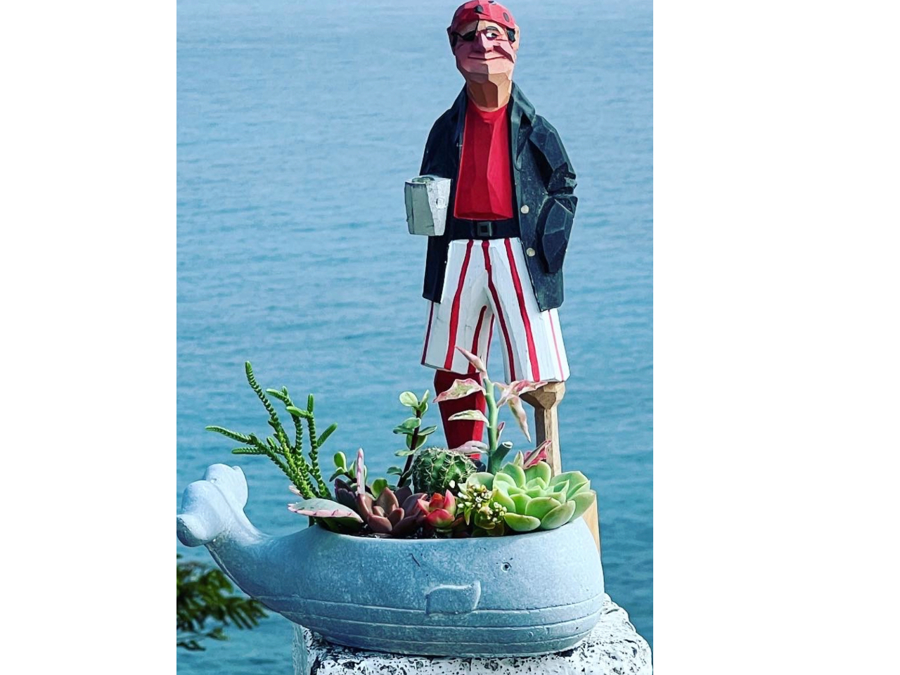 100種類からmyサボテンを選び、自分だけの鉢植えを作ろう！！（2鉢体験