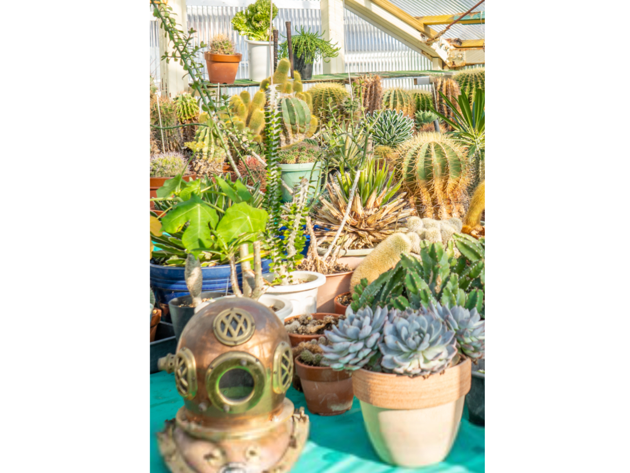 ̒KChtłēBȆAς邱Ƃł܂B