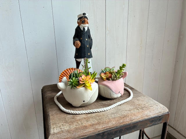 100ނ̒AP1500~̑Å񂹐Ǎł܂B炵AUF̂甫VvȃfUC܂őIׂ܂Bʐ^͂Q