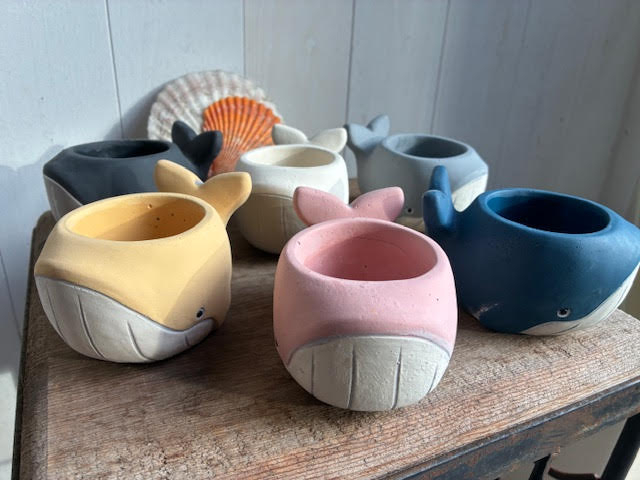 LȊCƋ󂪔˂炵A甫͑SłUFBȐF̂I񂾂AقɂVvȃfUC̔̂ŁAD݂őIł݂āI