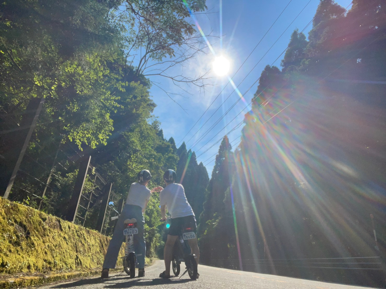 自然いっぱいの道を満喫できます♪