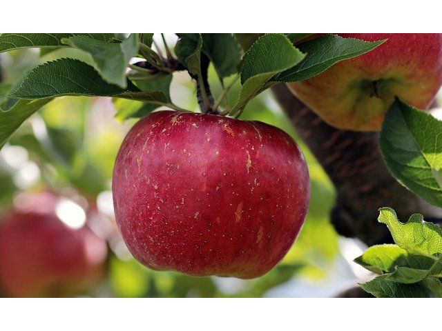 自然いっぱいです!!