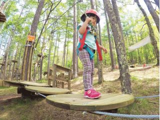 ちびっこでもチャレンジできる!平均高さ約1.5m