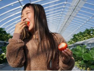 あまくておいしいいちごで思わずあふれる笑顔♪