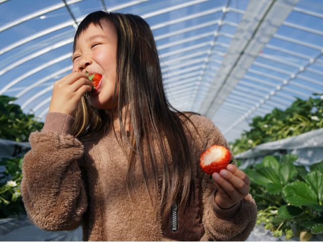 あまくておいしいいちごで思わずあふれる笑顔♪