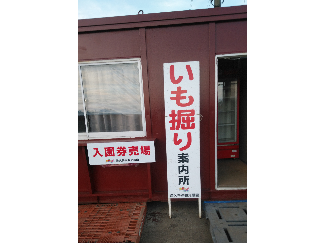 芋ほり現地案内所