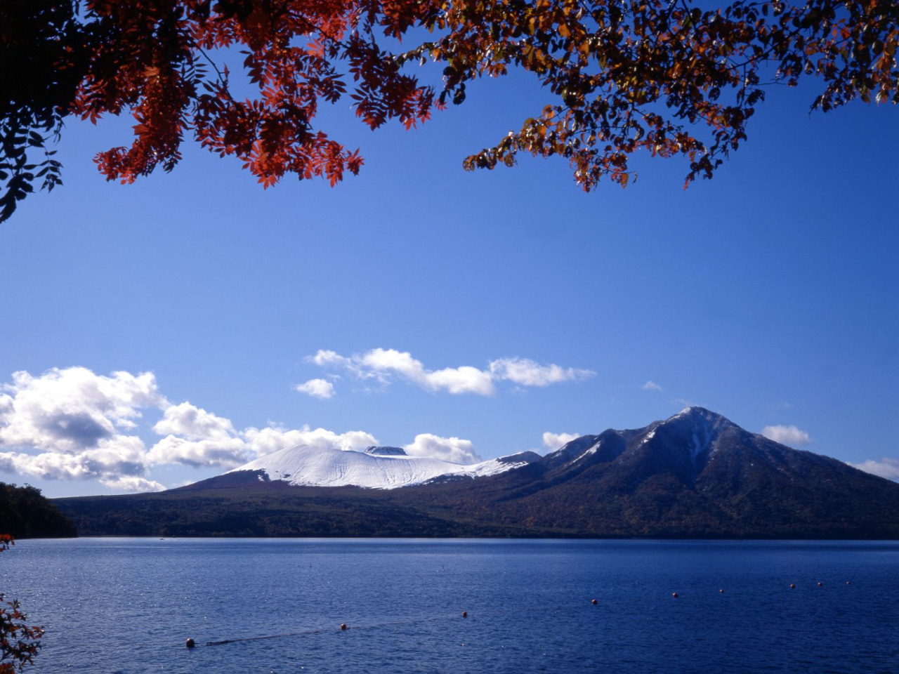 H̎x┌΂͍gtƃxXg}b`I