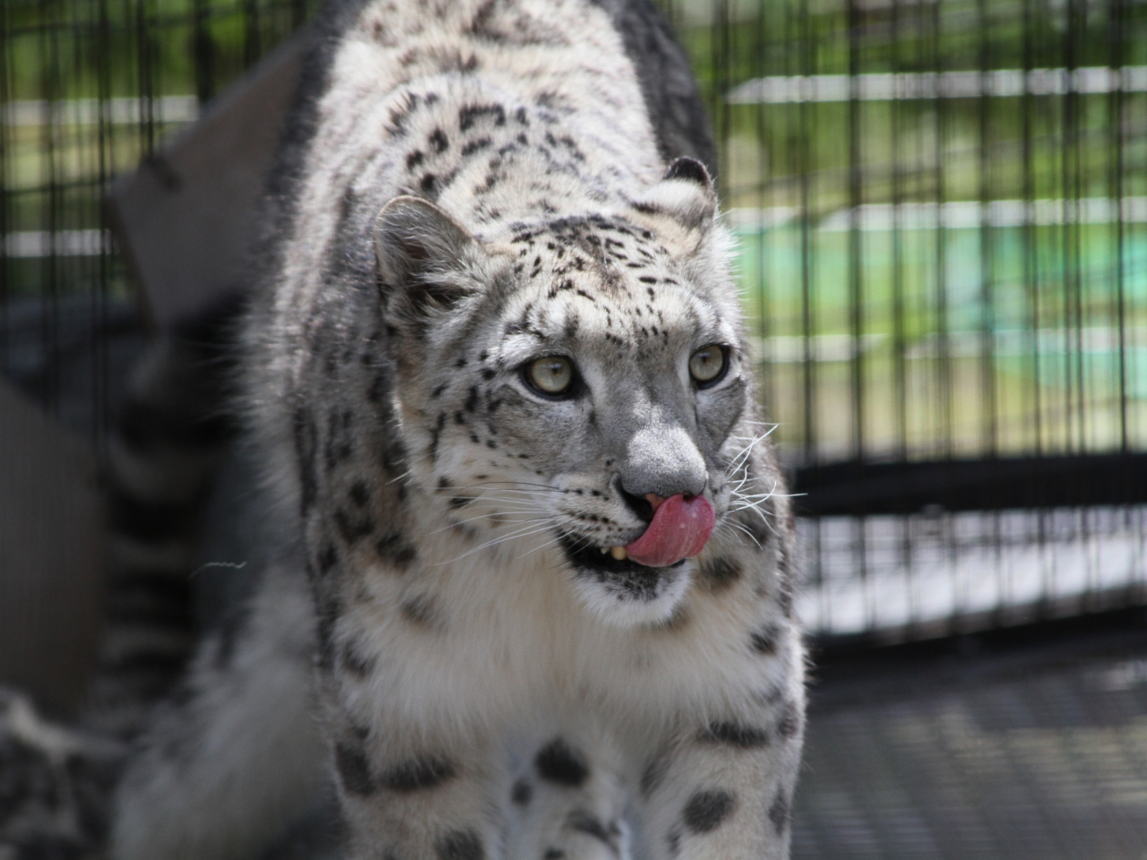 LqÊPlYȂŌĉ(^ ^)