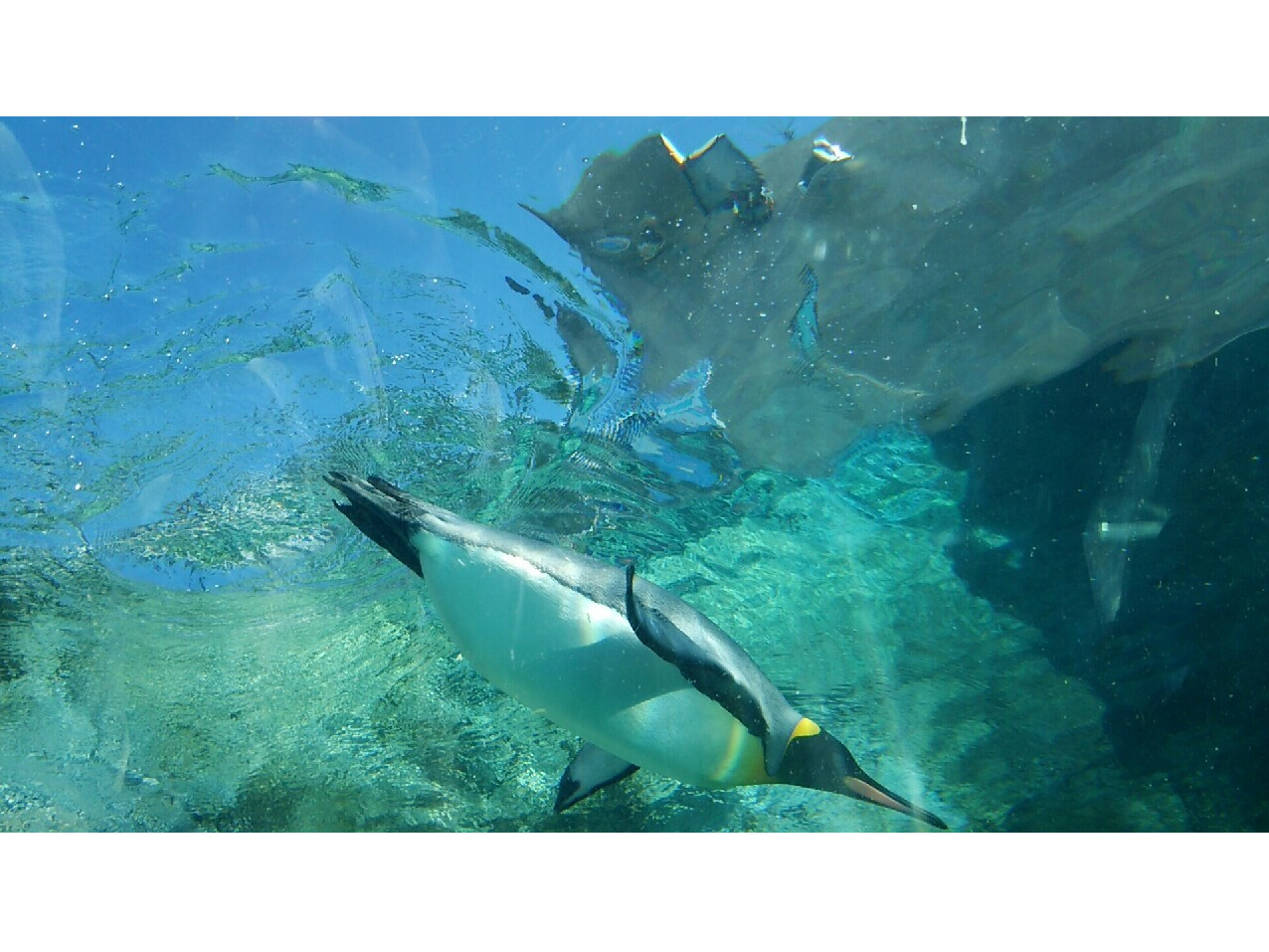 yMł悤ɃXC[[[[ƁAj܂B