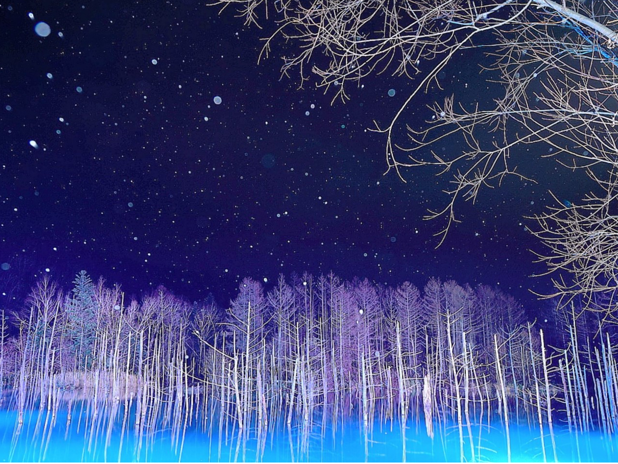 ライトアップされた幻想的な青い池