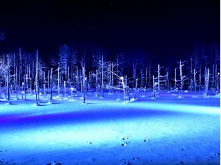 こんな景色を見れるのも冬の間だけ!