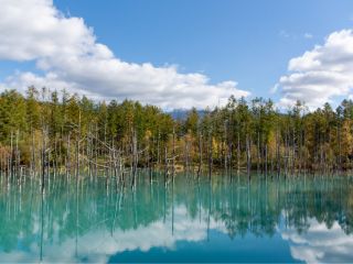秋の「青い池」は雪もちらほら!