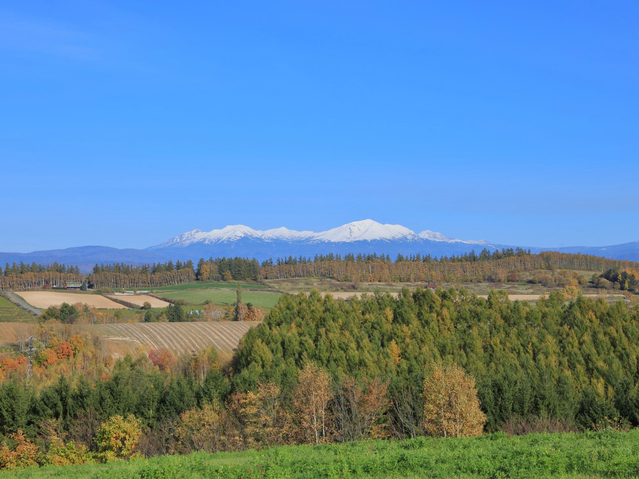 ľiF́Aǂ猩Ă󂪍LĊGɂȂ܂B