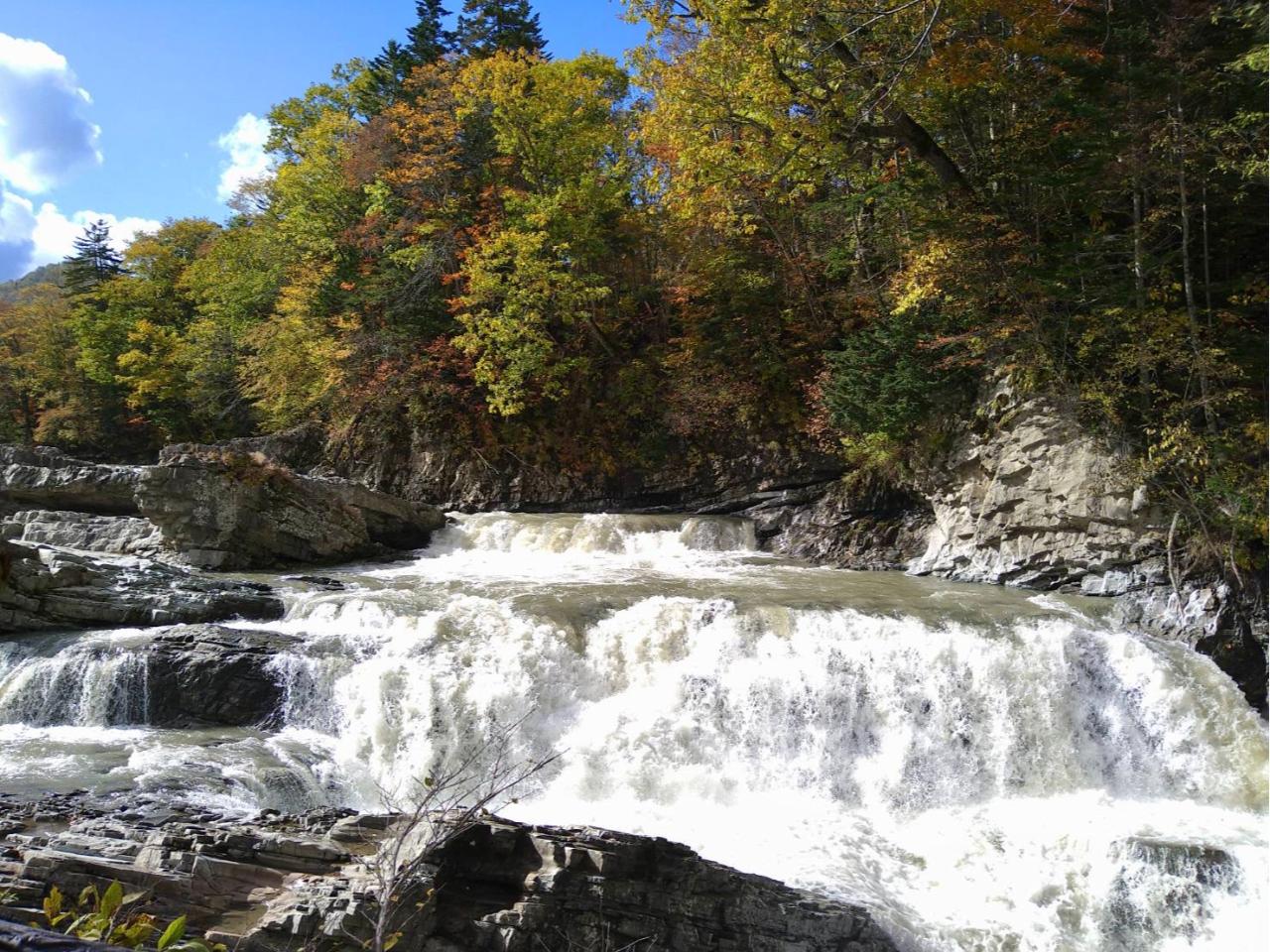 uOivxǖ֌Ō邱Ƃł܂B}CiXCII