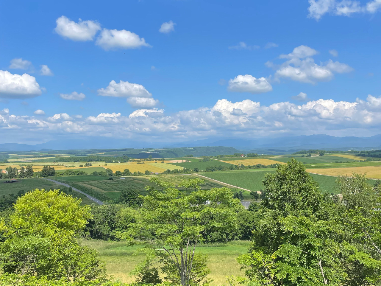 uc̋uW]vĜ悤YȌiFɂƂB